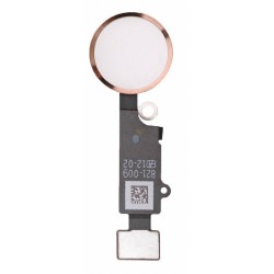 HOME BÓTAO FLEX APPLE IPHONE 7 PLUS (5.5") DOURADO HOME BÓTAO FLEX APPLE IPHONE 7 PLUS (5.5") DOURADO